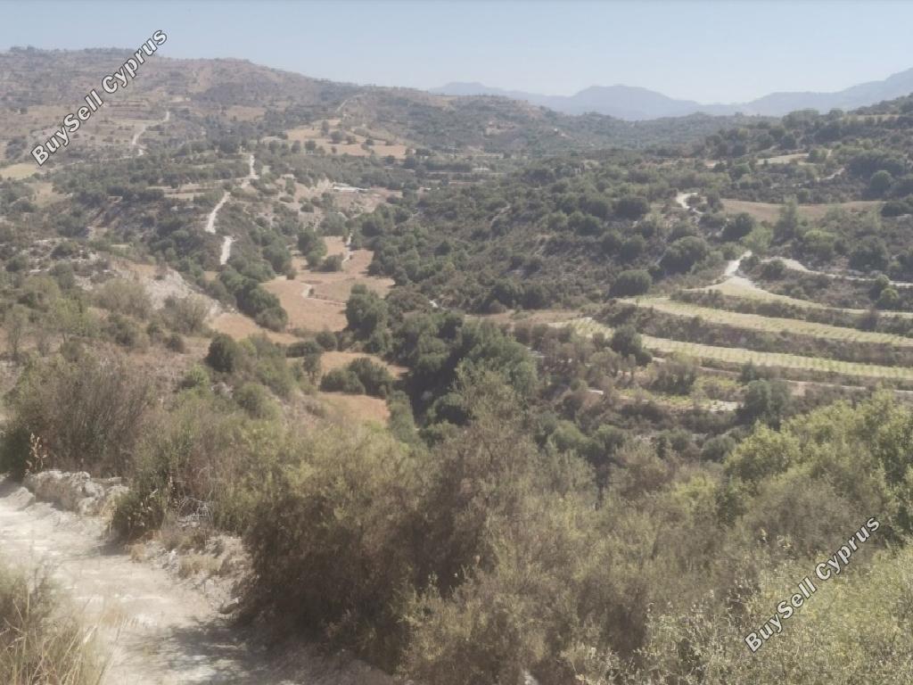 land for sale polemi paphos 1526629 image 15598255