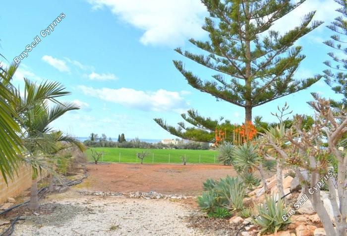 3 bedroom detached house for sale sea caves peyia paphos 7737729 image 10194142