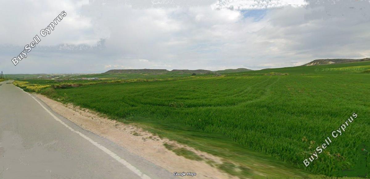 land for sale meniko nicosia 8779729 image 16631806