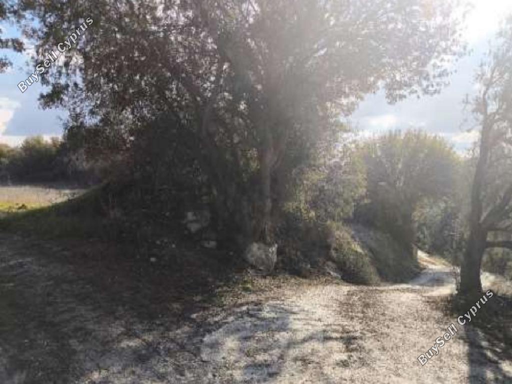 5352 SQM Land for sale in Kinousa, Paphos 16009450