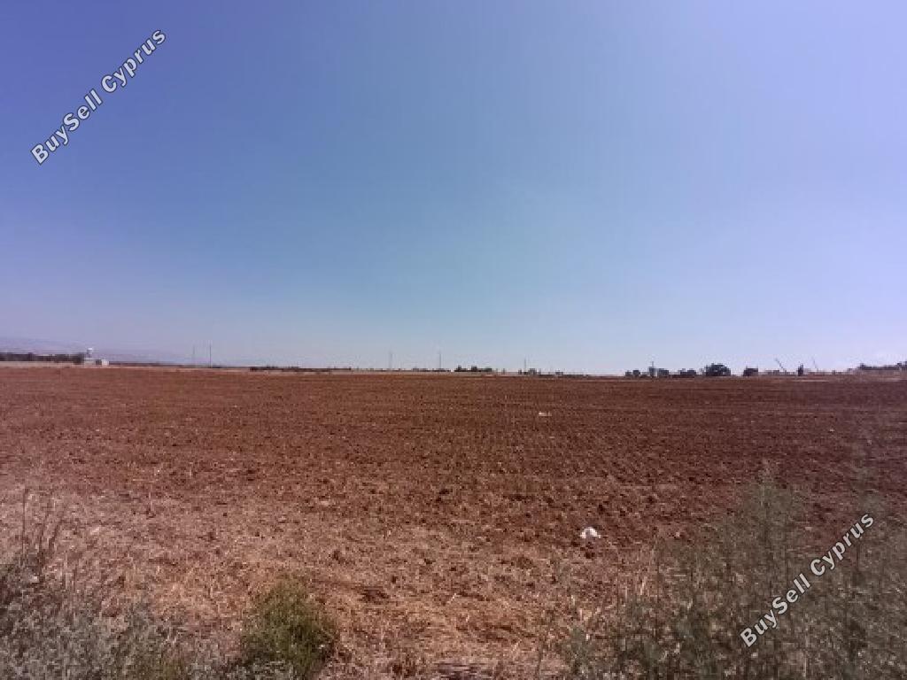 land for sale astromeritis nicosia 8897829 image 17352645