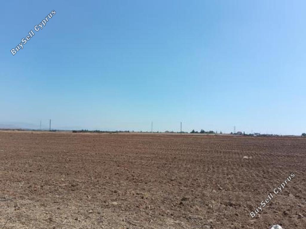 land for sale astromeritis nicosia 8897829 image 17352646