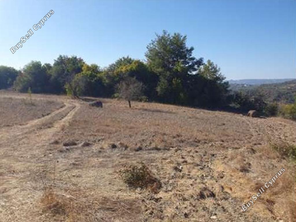 land for sale kinousa paphos 1751829 image 17601146