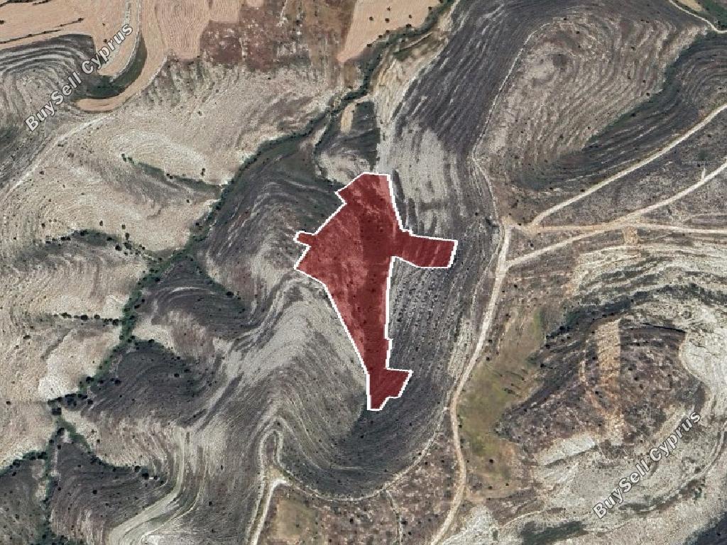 land for sale lympia nicosia 1362829 image 15599590