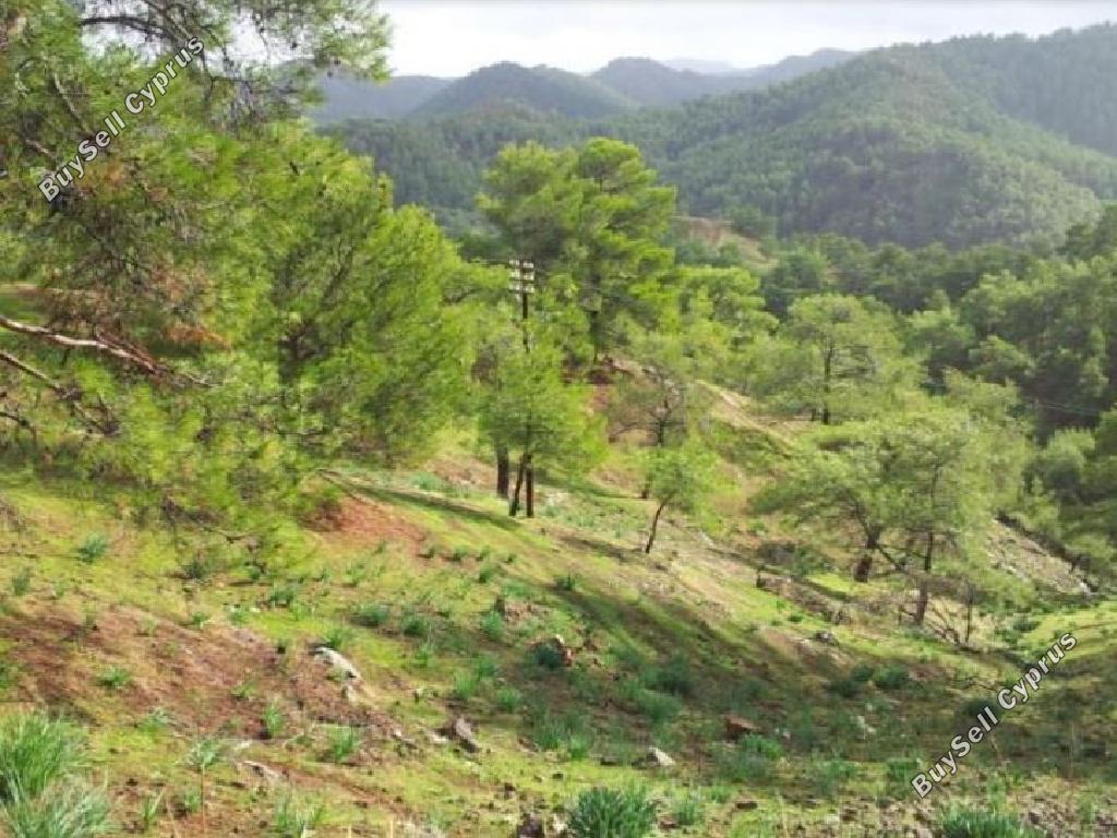 land for sale pigenia nicosia 945929 image 6815086