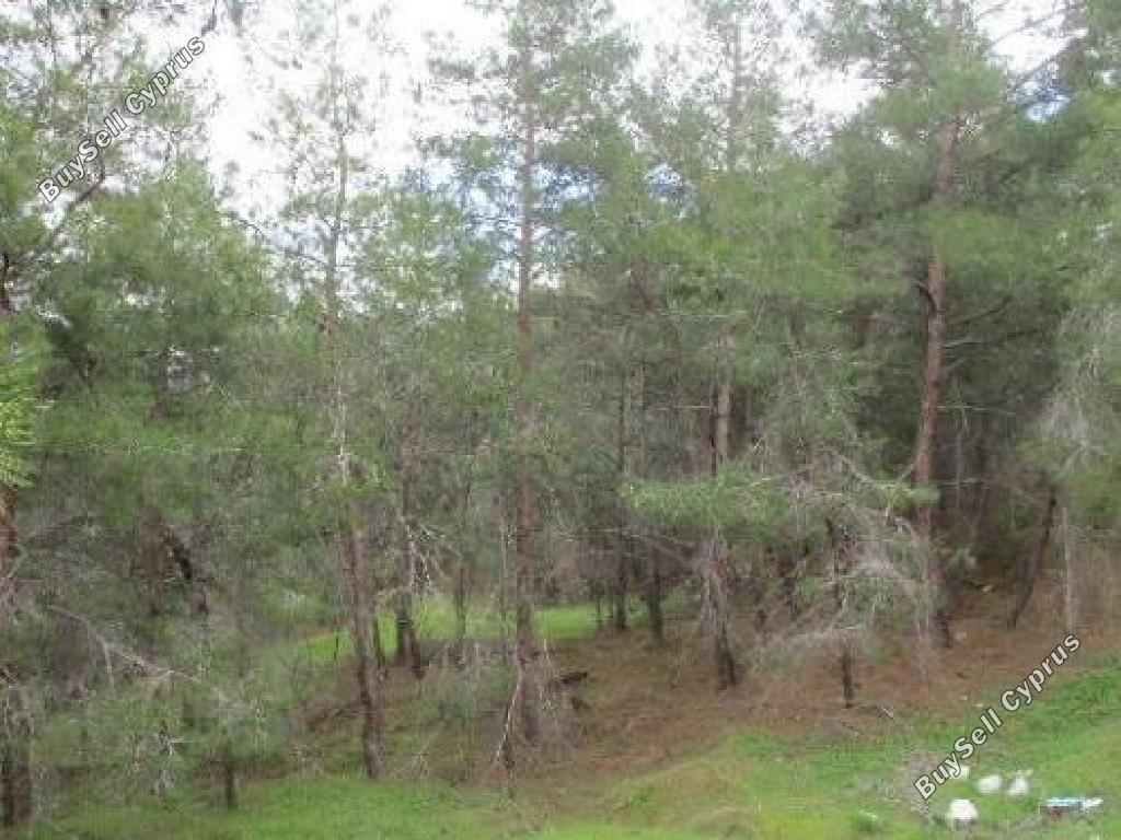 land for sale pigenia nicosia 945929 image 7641260