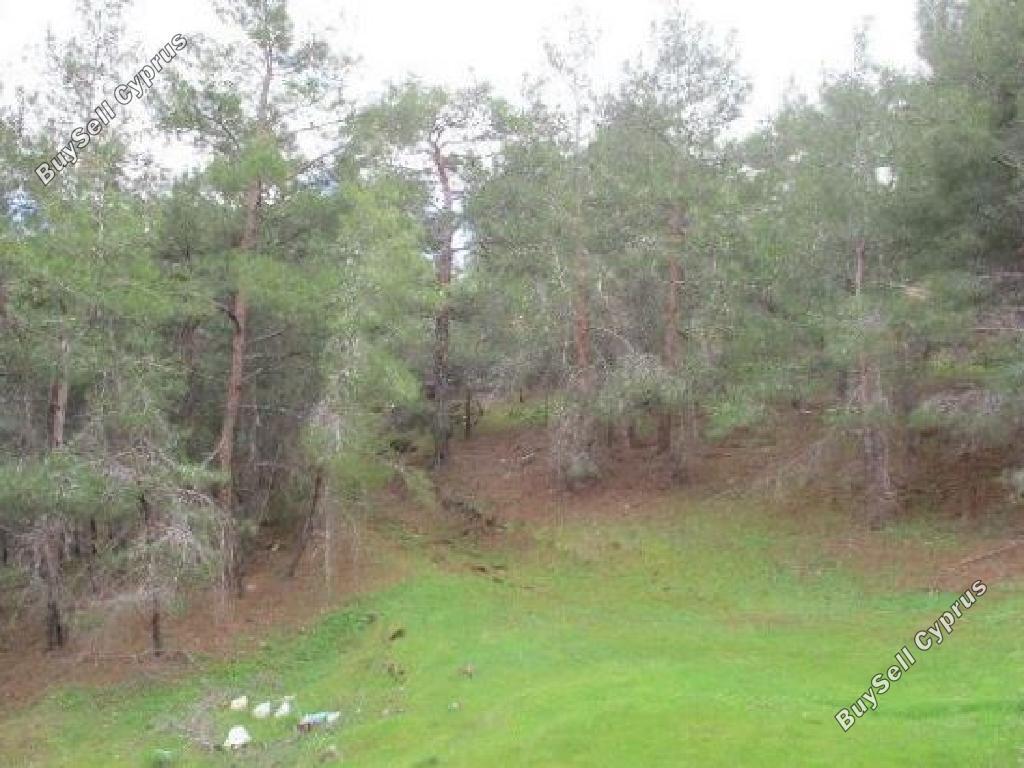 land for sale pigenia nicosia 945929 image 7641261