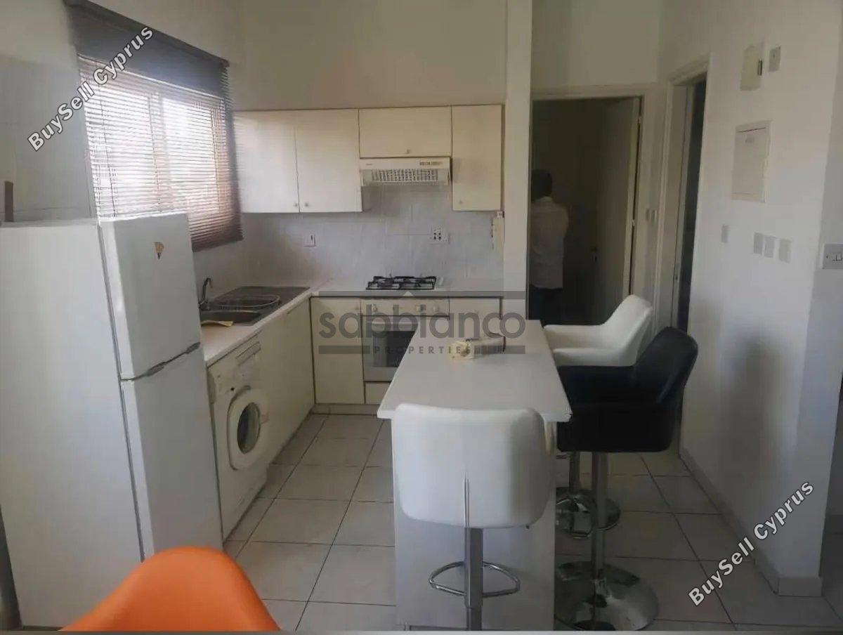 1 bedroom apartment for rent lykavitos nicosia 8749139 image 16472806