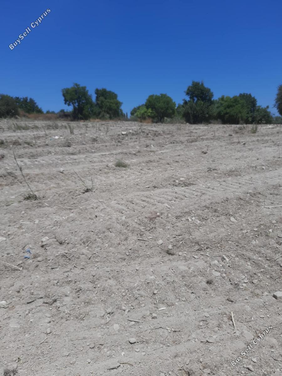 land for sale agios dimitrianos paphos 1836139 image 6518363