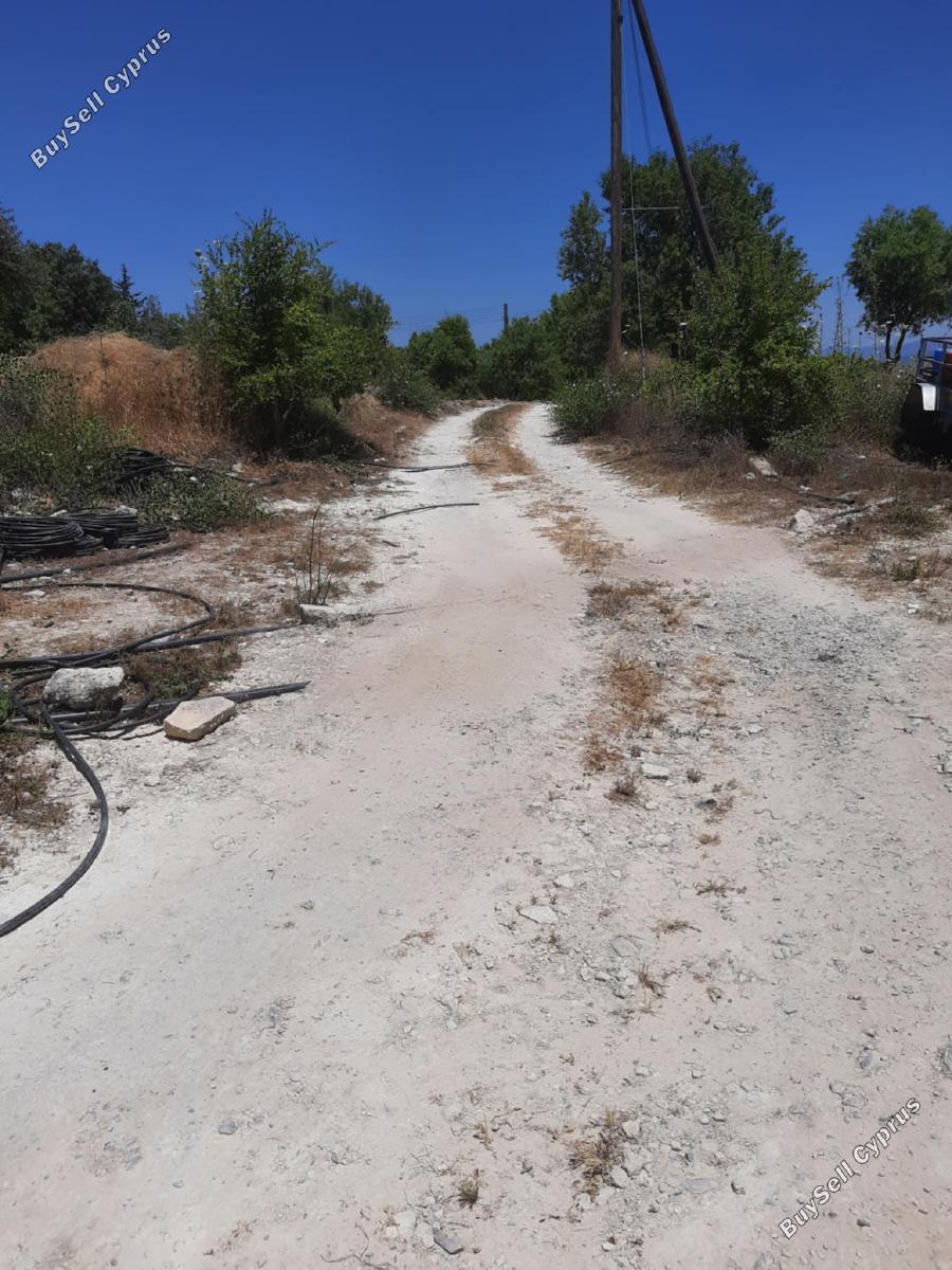 land for sale agios dimitrianos paphos 1836139 image 6518364