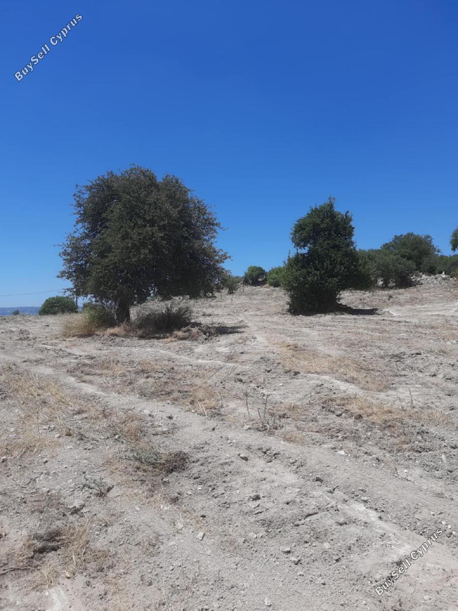 land for sale agios dimitrianos paphos 1836139 image 6518365