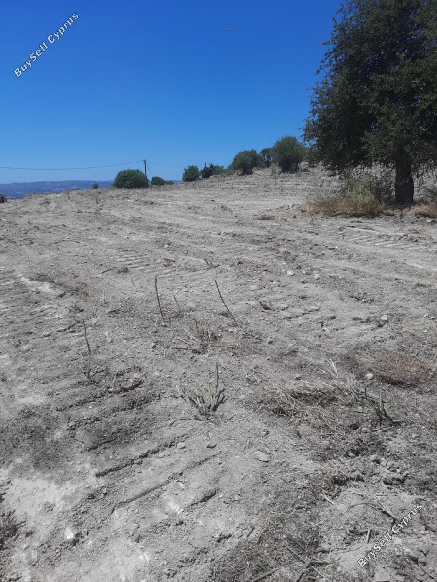 land for sale agios dimitrianos paphos 1836139 image 6518366