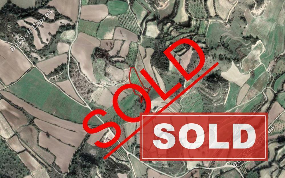 land sold lemona paphos 828139 image 13109417