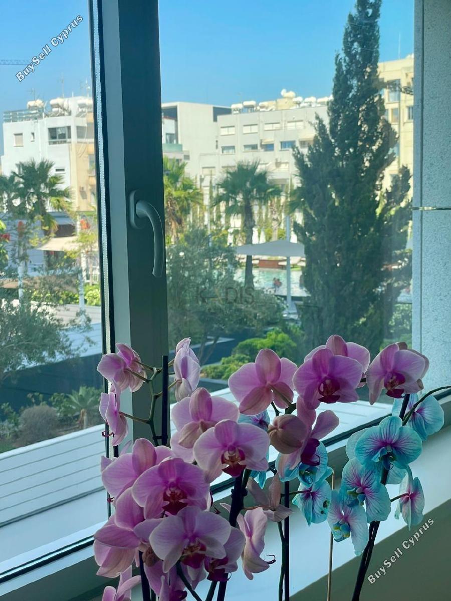 2 bedroom apartment for sale neapolis limassol 8377239 image 15826876