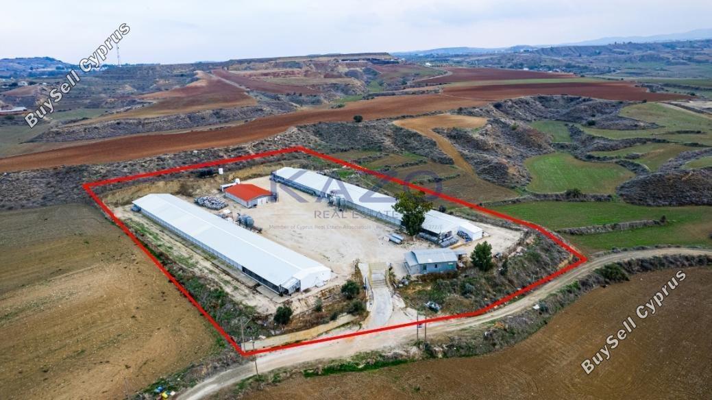 land for sale agios ioannis nicosias nicosia 1737239 image 7206345