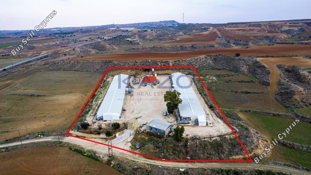 land for sale agios ioannis nicosias nicosia 1737239 image 7206346