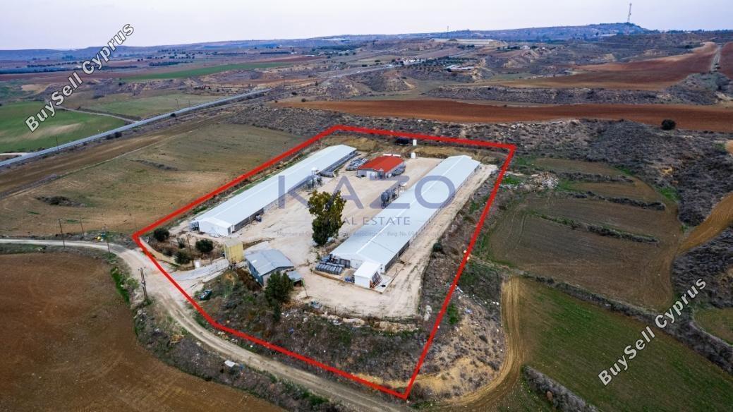 land for sale agios ioannis nicosias nicosia 1737239 image 7206348