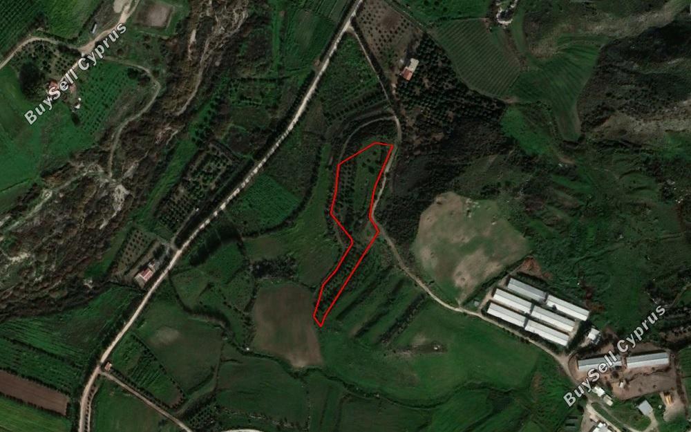 plot for sale agia varvara paphos 898239 image 15177983