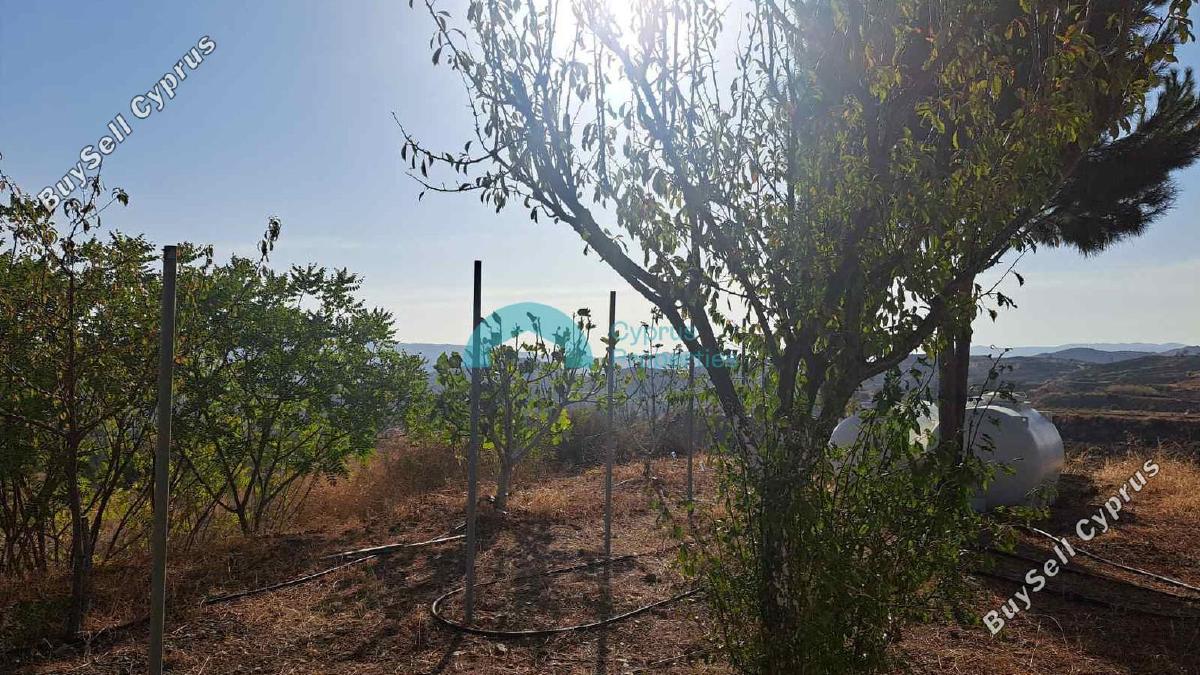 plot for sale ora larnaca 8785239 image 16647175