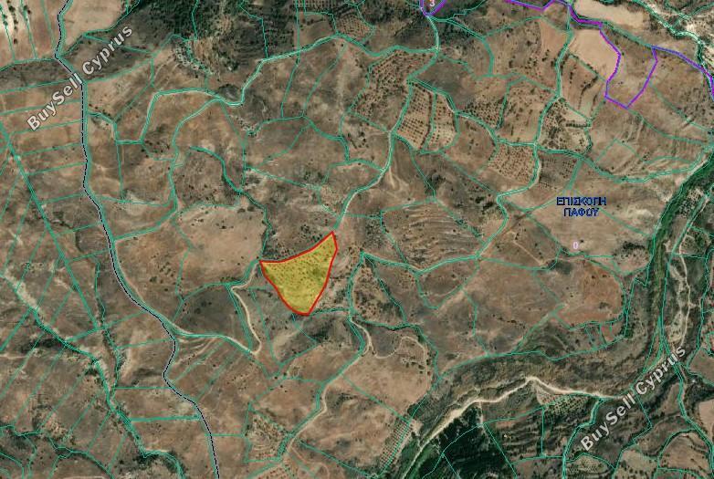 14229 SQM Land for sale in Episkopi Pafou, Paphos 14818506