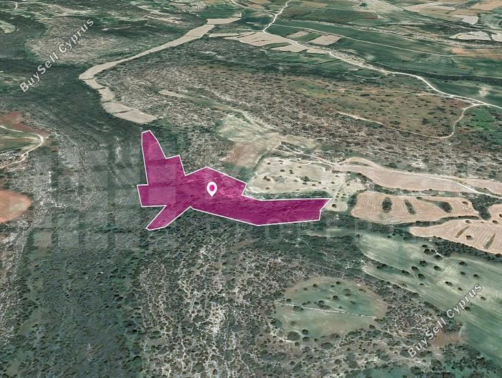 land for sale agios theodoros larnacas larnaca 7872339 image 15714541