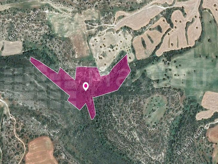 land for sale agios theodoros larnacas larnaca 7872339 image 15714545