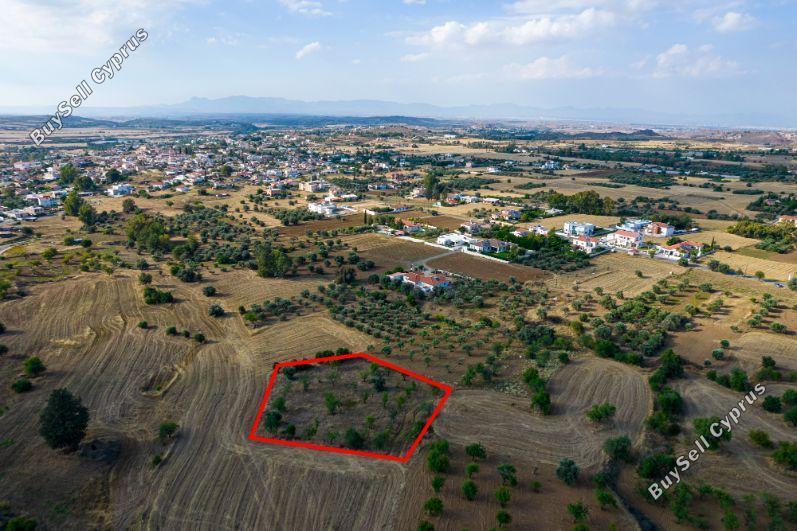 land for sale klirou nicosia 1087439 image 2894243