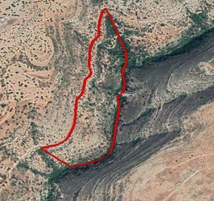 107025 SQM Land for sale in Prastio Avdimou, Limassol 5892938