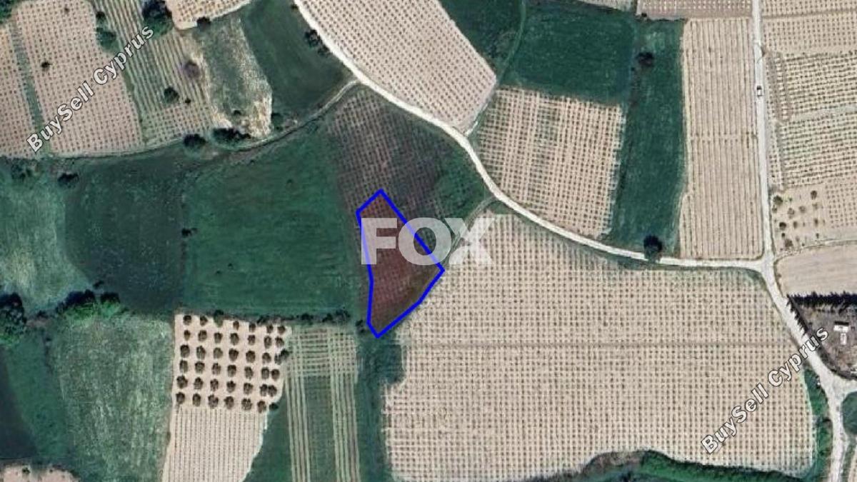 land for sale polemi paphos 1161539 image 5559704