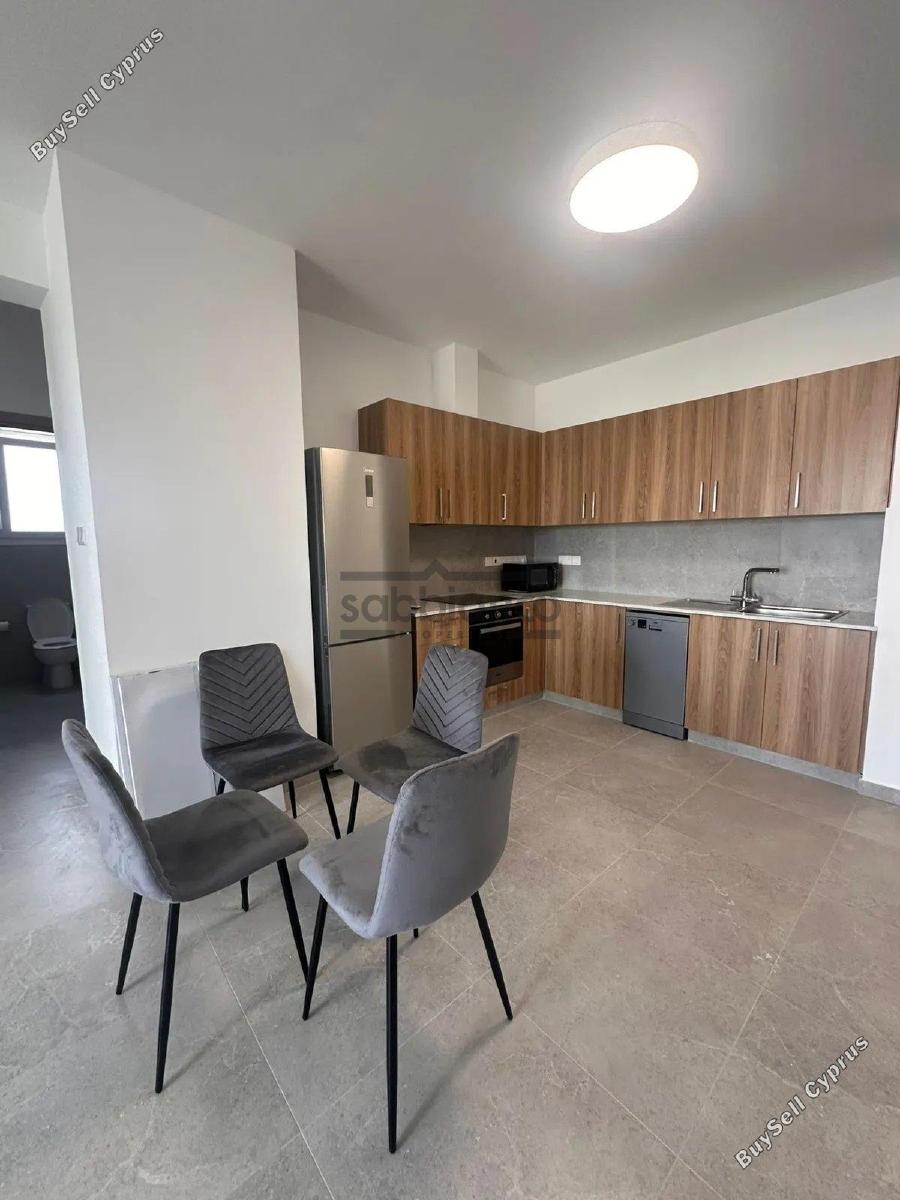 2 bedroom apartment for rent aradippou larnaca 8740639 image 16384793