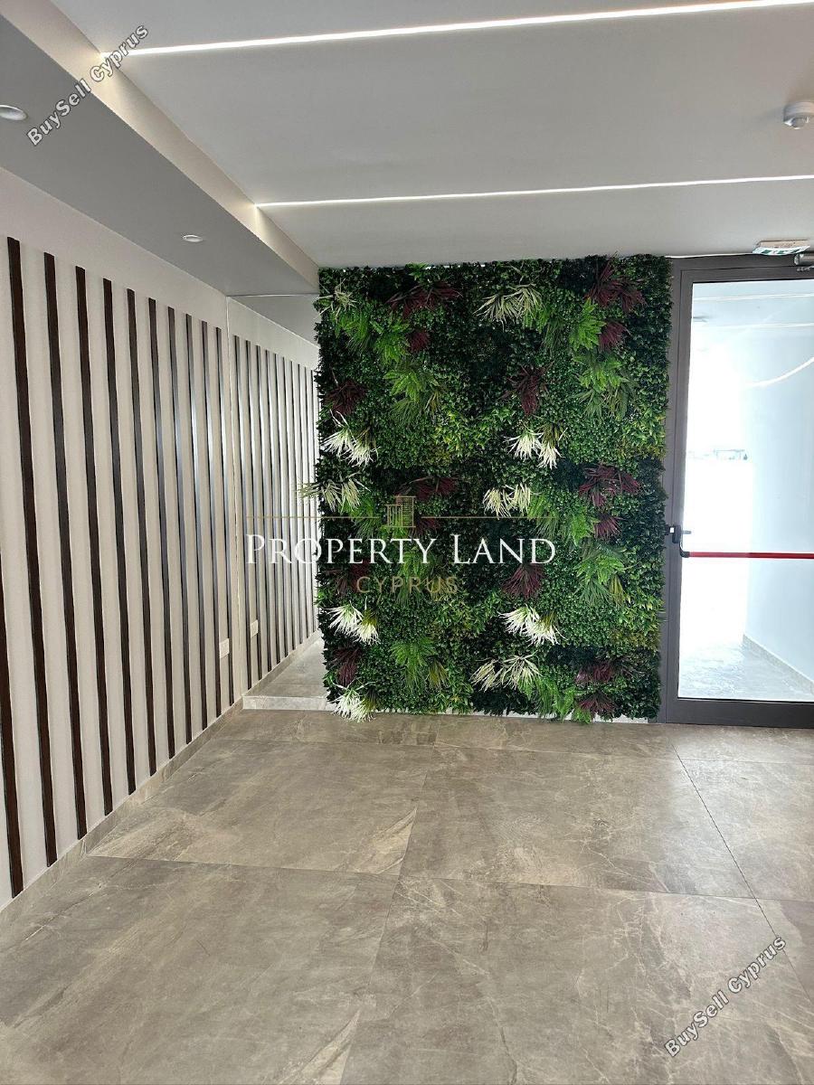 2 bedroom apartment for sale livadia larnacas larnaca 8531639 image 16296306