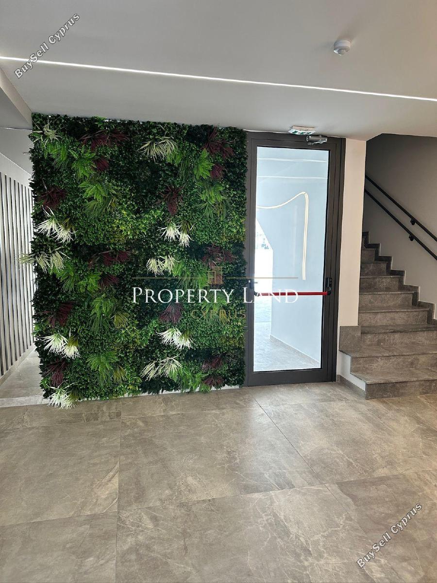 2 bedroom apartment for sale livadia larnacas larnaca 8531639 image 16296307