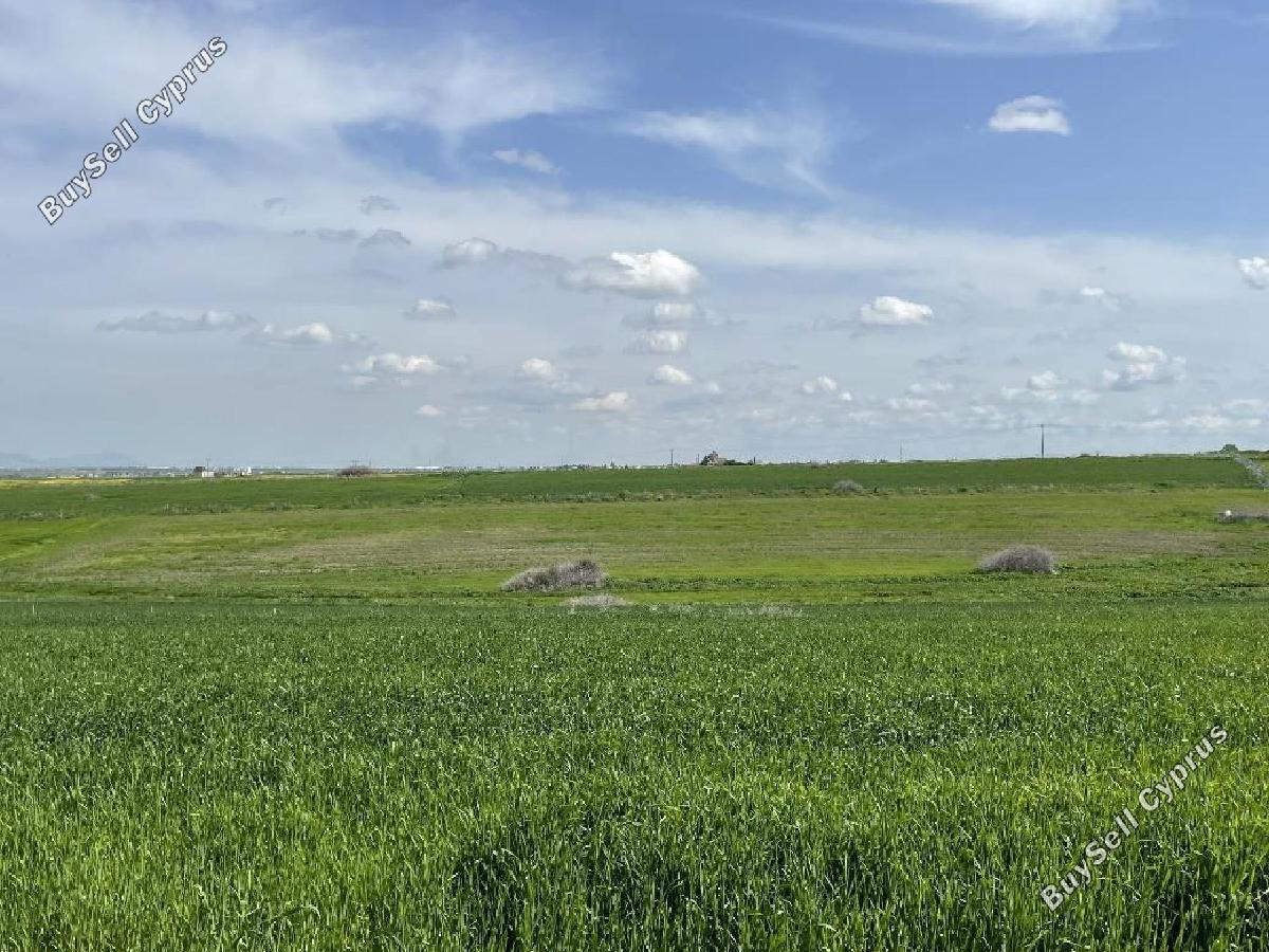 5686 SQM Land for sale in Peristerona Lefkosias, Nicosia 16333608