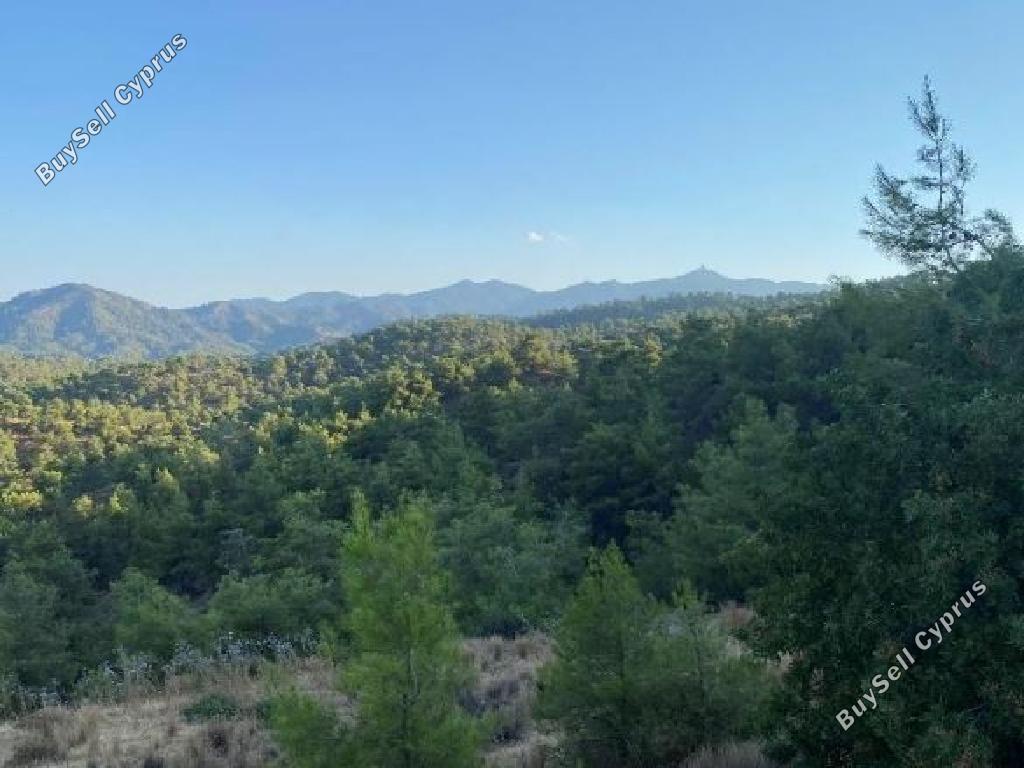 land for sale kapedes nicosia 945739 image 15603332