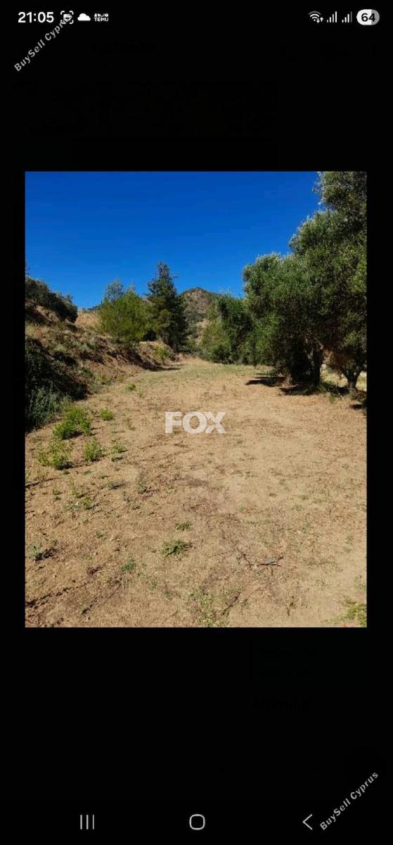land for sale kaminaria limassol 8085839 image 14153463