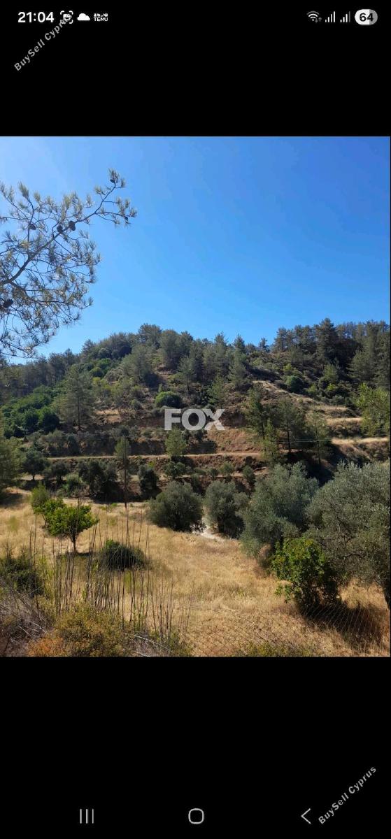 land for sale kaminaria limassol 8085839 image 14153470