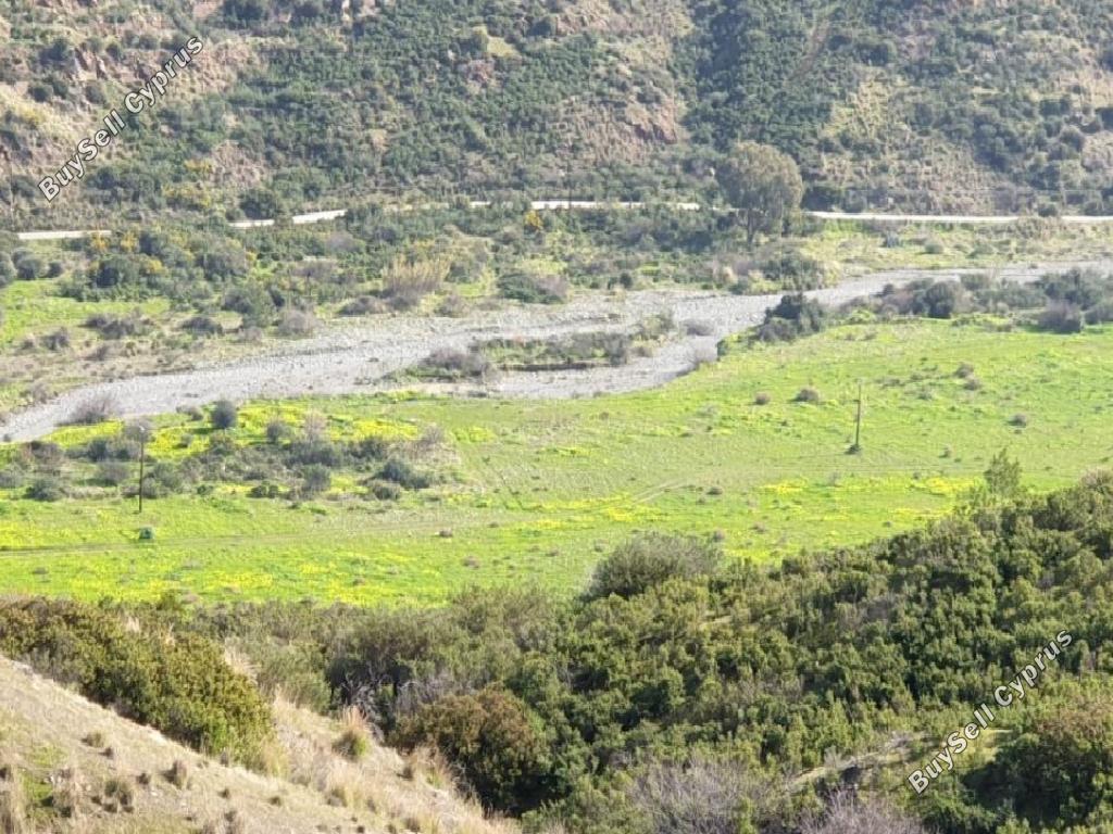 land for sale pano pyrgos nicosia 964839 image 15600688