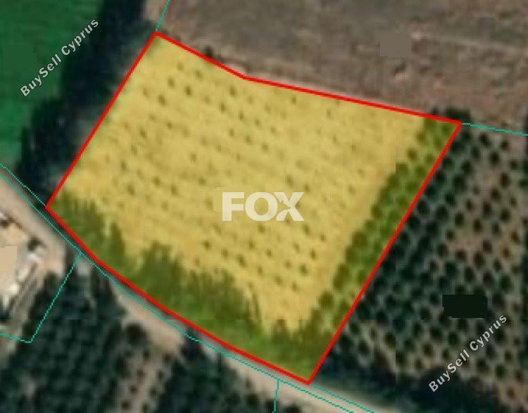 7913 SQM Land for sale in Mandria Pafou, Paphos 16395633