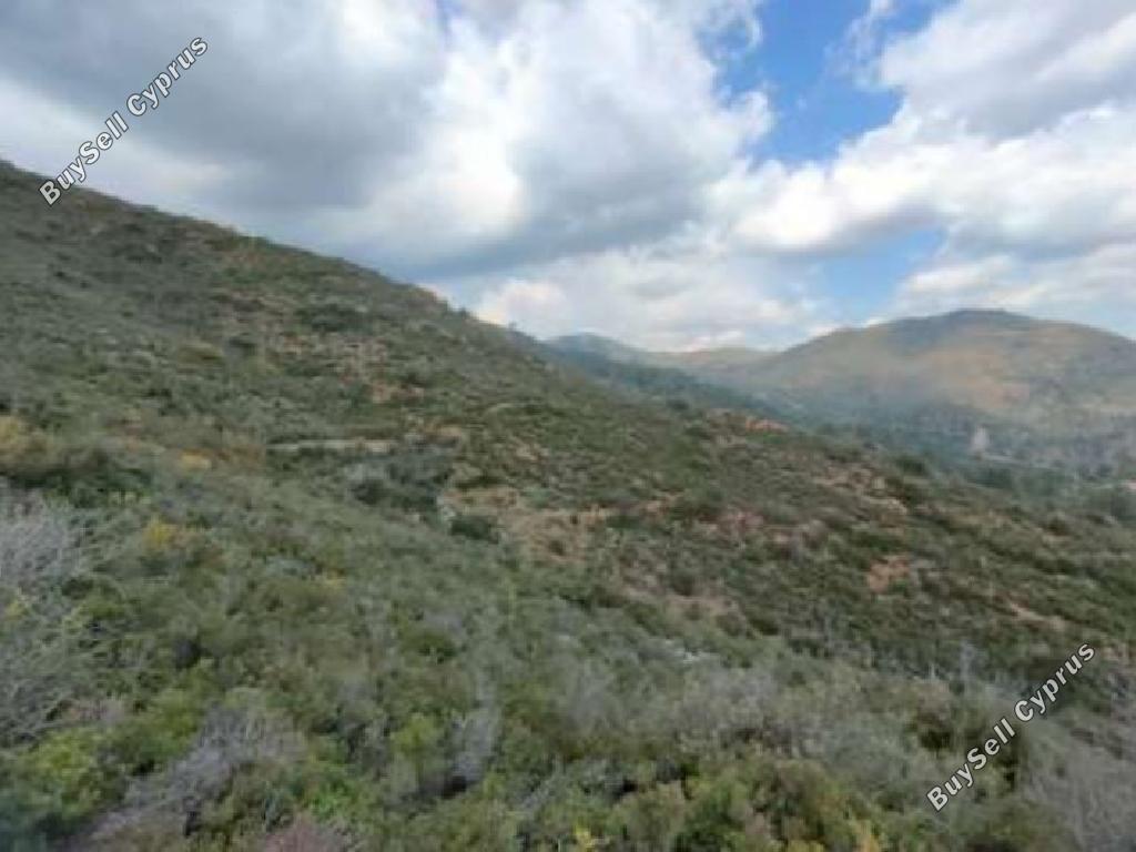 land for sale lythrodontas nicosia 945939 image 6818850