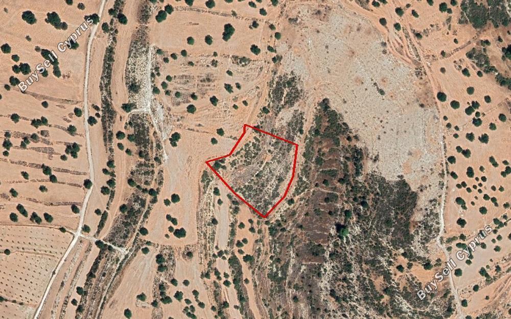 land for sale pachna limassol 904939 image 11082172