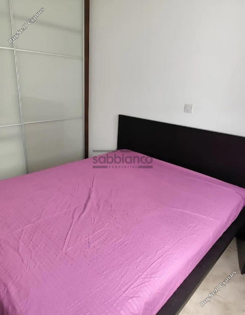 2 bedroom apartment for rent strovolos nicosia 8749049 image 16471169