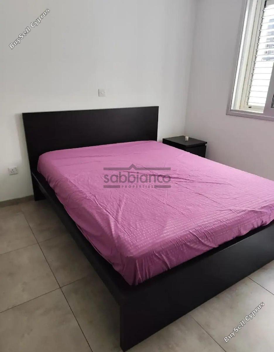 2 bedroom apartment for rent strovolos nicosia 8749049 image 16471179