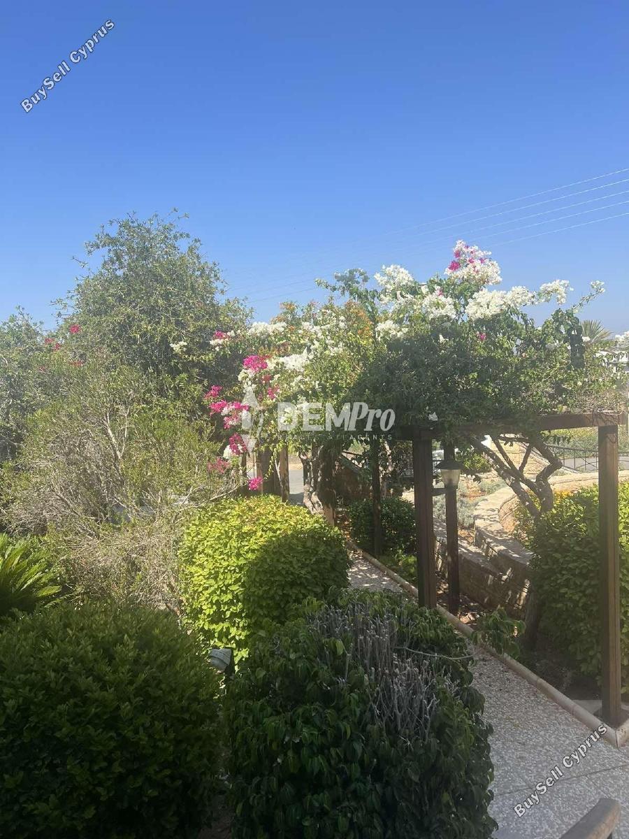 4 bedroom detached house for sale tala paphos 7812049 image 12686028