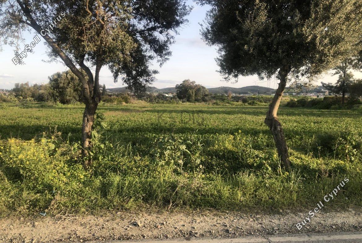 land for sale dali nicosia 1191049 image 5822380