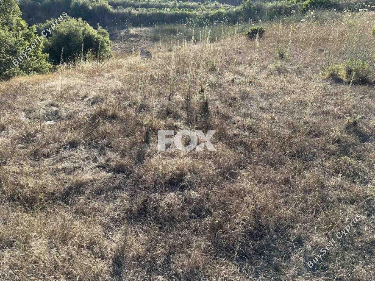 land for sale kallepeia paphos 1270149 image 5558155