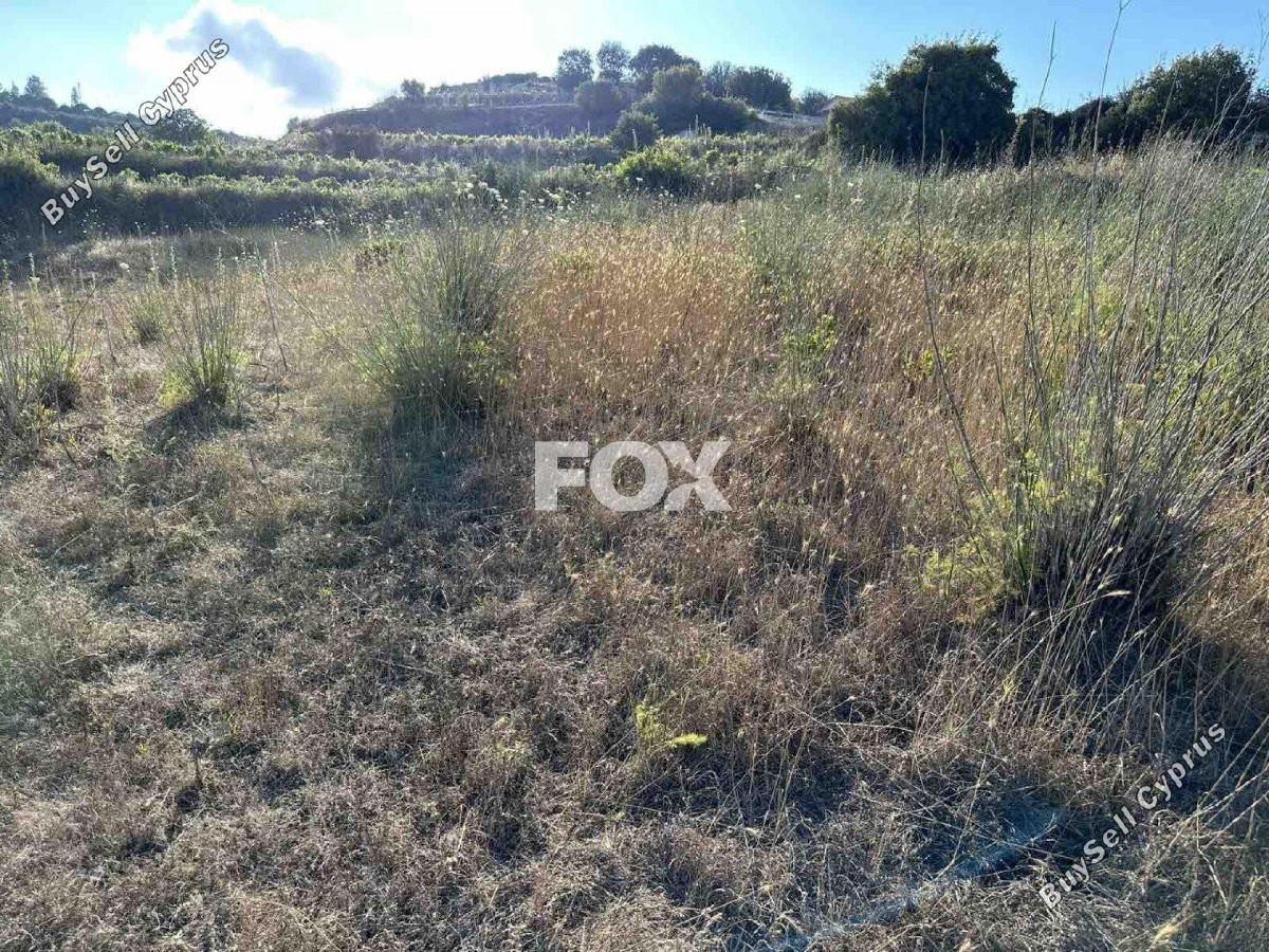 land for sale kallepeia paphos 1270149 image 5558162
