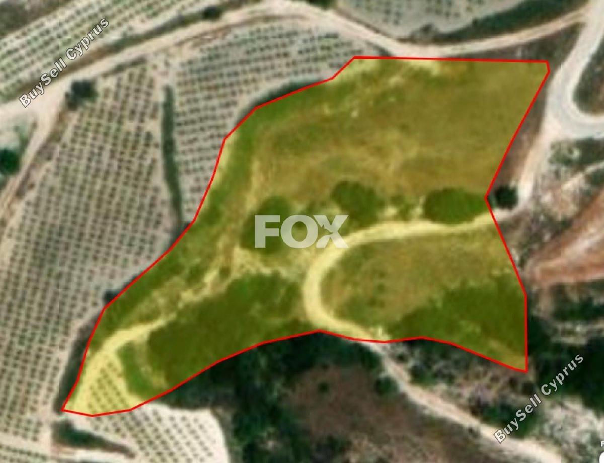 land for sale kallepeia paphos 1270149 image 5558165