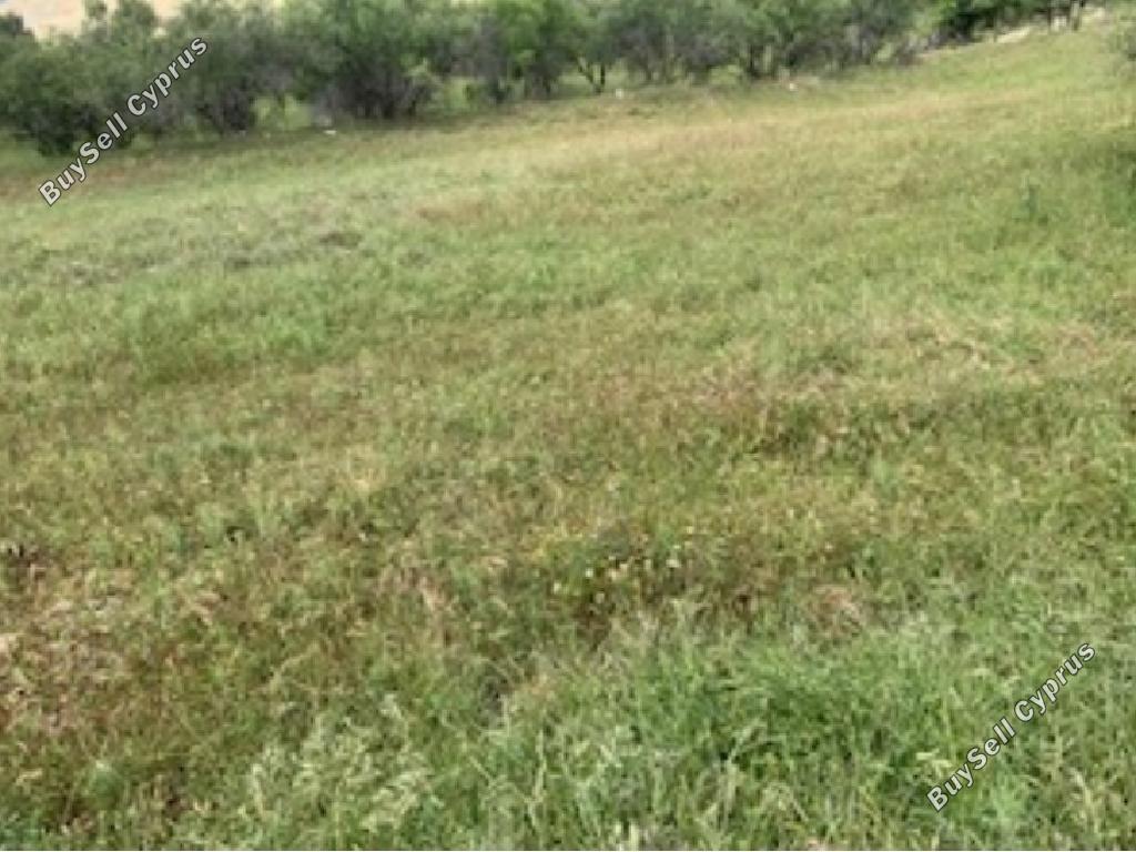 land off market kelokedara paphos 8630149 image 17011483