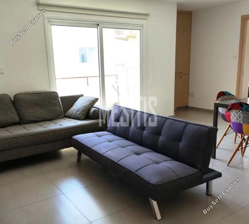 1 bedroom apartment for rent aglantzia nicosia 8681349 image 16340404