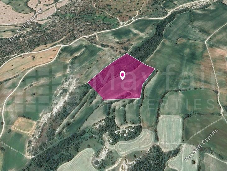 land for sale agios theodoros larnacas larnaca 7872349 image 14892306